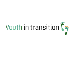 Youth in Transition  -webconference
