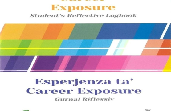 The Career Exposure Experience amp Reflective Logbooks