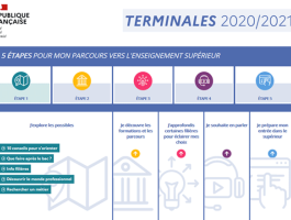 Terminales 2020-2021 website