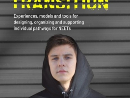 Youth in Transition  -NEETs progression towards vocational maturity