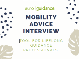 Mobility advice interview