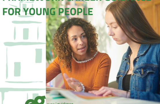 FRAMEWORK  CAREER GUIDANCE FOR YOUNG PEOPLE