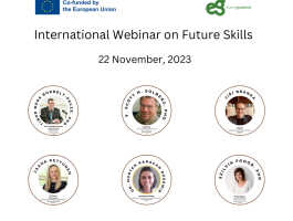 Euroguidance Webinar on the Future of Skills
