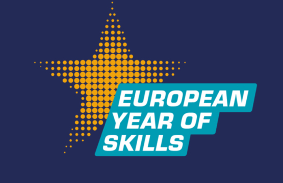The European Year of Skills  what comes next