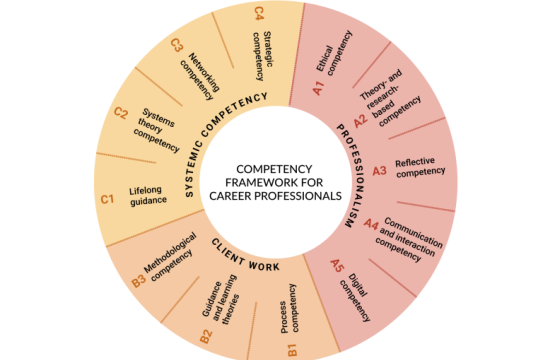 Competency Framework and Assessment tools for Career Professionals