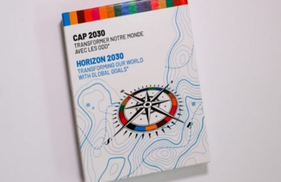 CAP 2030  a guidance tool on the SDGs