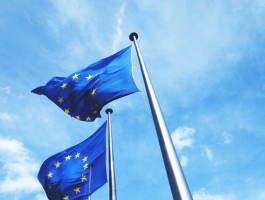 Common goals connect Euroguidance and ETF cooperate to support emerging guidance systems