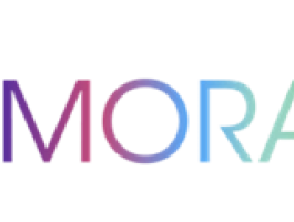 MORAL  -Key Skills Micro credentials A Passport to Employment and Inclusion