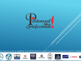 Your Professional Partner