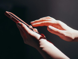 Online tools in career guidance  -The PVA application