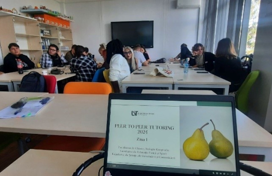 Peer to peer tutoring program