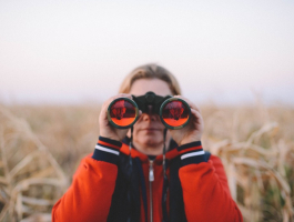 Euroguidance Stakeholder Survey