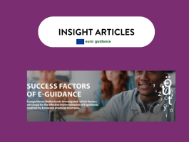 Exploratory research success factors for E-Guidance