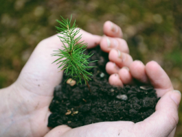 Training in Green Guidance from Theory to Practice