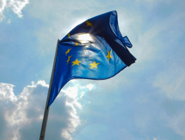 Invitation to Participate in Survey on Digital Credentials and Skills Portability