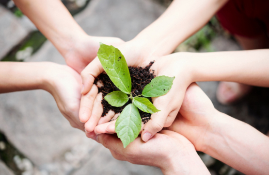 2026 NICE ACADEMY  -Green Guidance Interpretations and implications