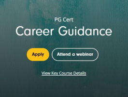 A flexible professionally recognised route into career guidance