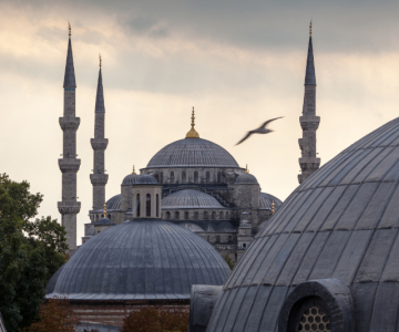 Turkey