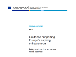 Guidance supporting Europes aspiring entrepreneurs  Policy and practice to harness future potential