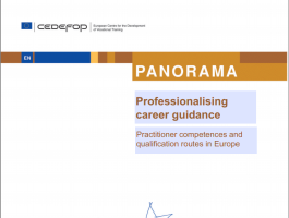 Professionalising career guidance practitioner competences and qualification routes in Europe