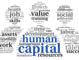 Human capital theory  -The value and importance of people to organisational success