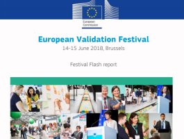 European Validation Festival  -Flash report
