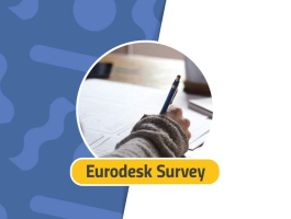 Eurodesk survey 039Youth Information Supporting you in going abroad039